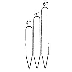 Diagram comparing four-inch plant labels to five-inch and six-inch labels.