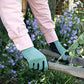 Foxgloves WORKS - Charley's Greenhouse & Garden