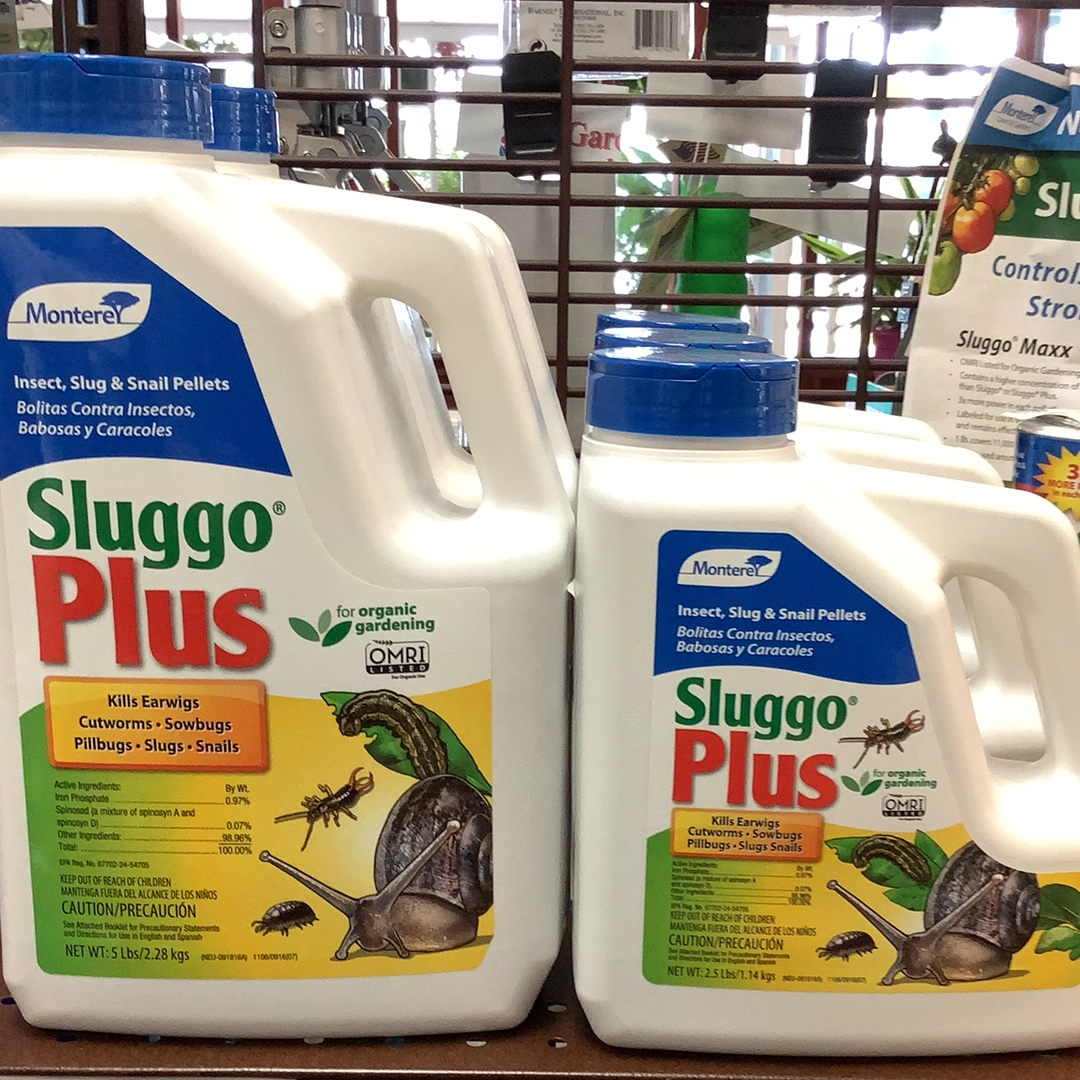 Sluggo Rsp Protect Your Garden Organically with Sluggo® Plus Pest Control!
